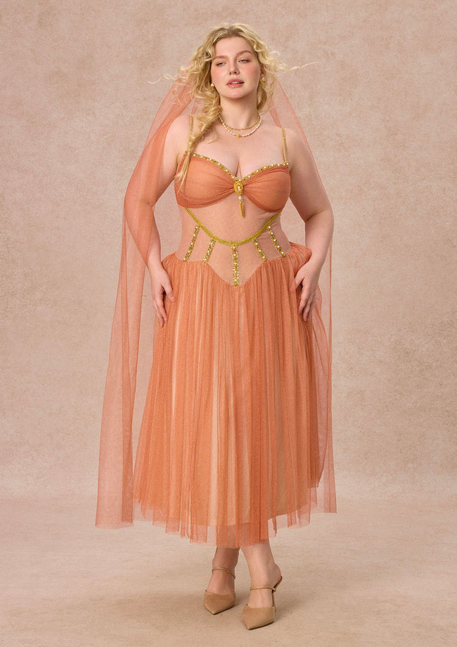 Curve&Plus Sahara Rose Corset Dress Hover Image