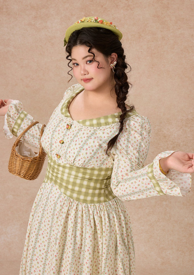 Curve & Plus Windsor Gardens Dress Hover Image