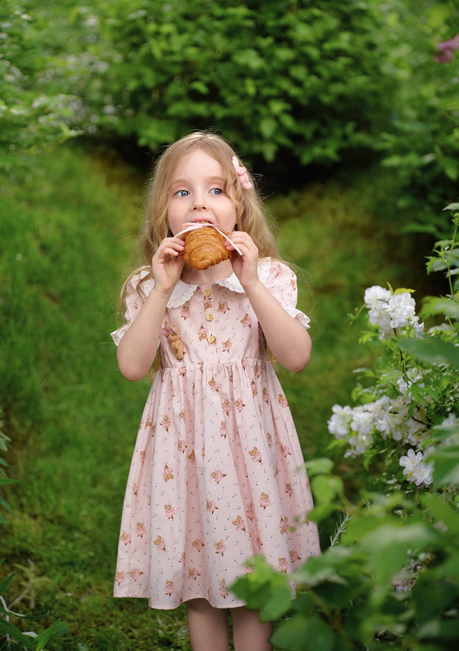 Toddler Girl Ballet Mouse Party Dress Main Image