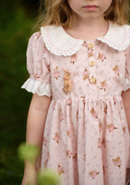 Toddler Girl Ballet Mouse Party Dress