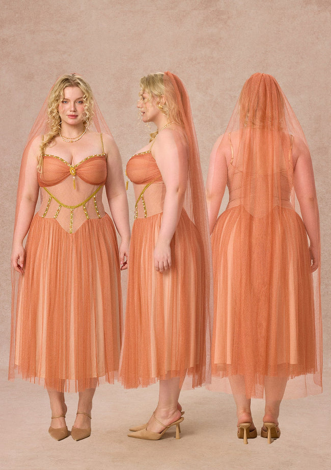 Curve&Plus Sahara Rose Corset Dress Main Image