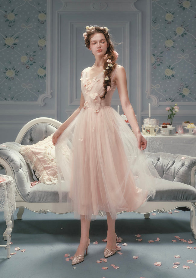 Louis XIV's Rose Dress Main Image