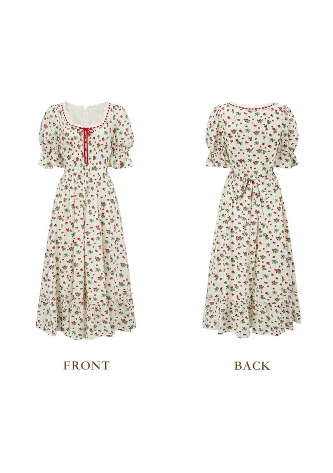 Wild Strawberry Paradise  Dress Main Image