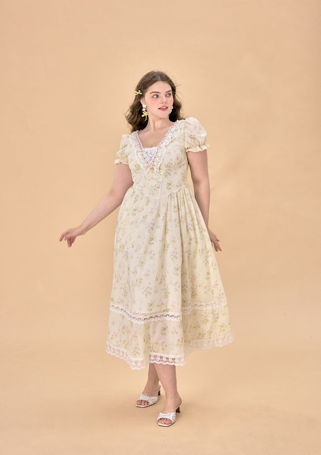 Curve & Plus Garden Tea Party Corset Dress Main Image
