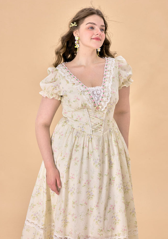 Curve & Plus Garden Tea Party Corset Dress Hover Image