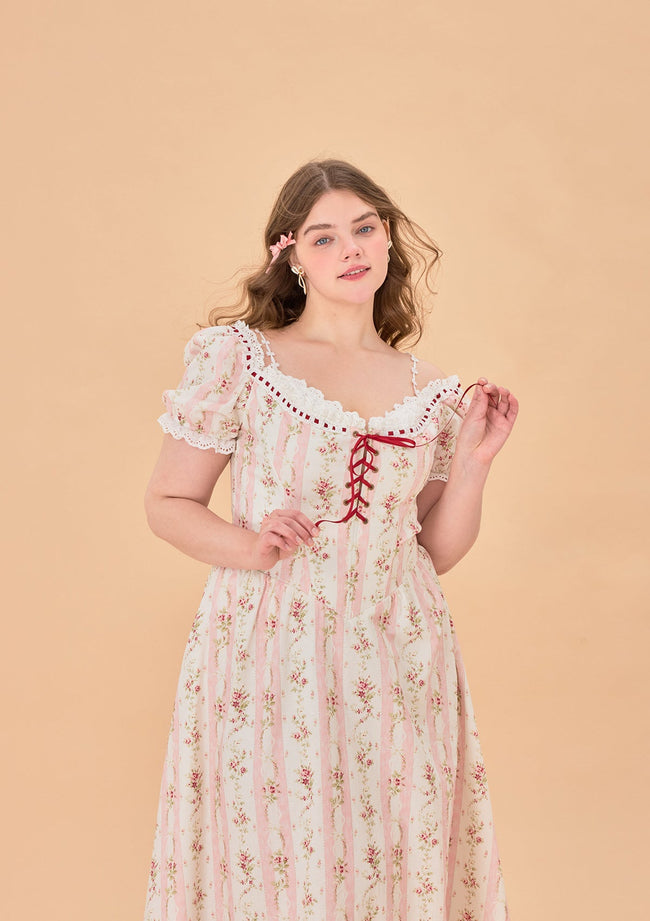 Curve & Plus Audrey Tea Party Corset Dress Hover Image