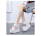 Wedge Platform Sandals Sheer