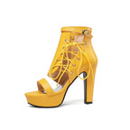 Ankle Strap Lace-Up Platform Chunky Heel Sandals