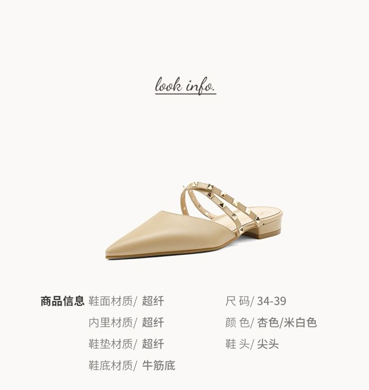 Pointed Toe Mary Jane Mules