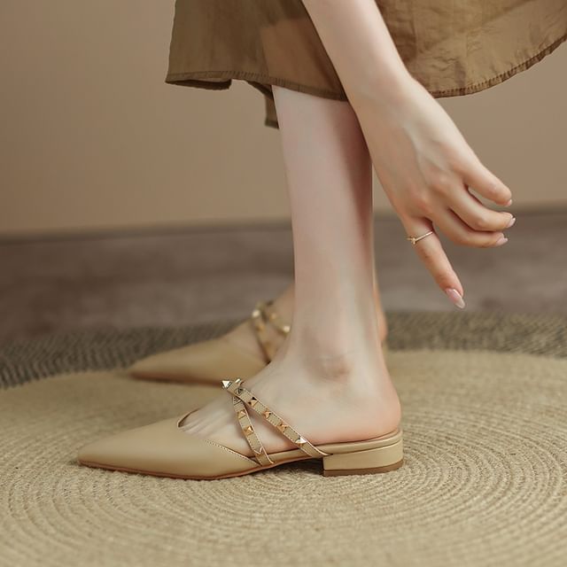 Pointed Toe Mary Jane Mules