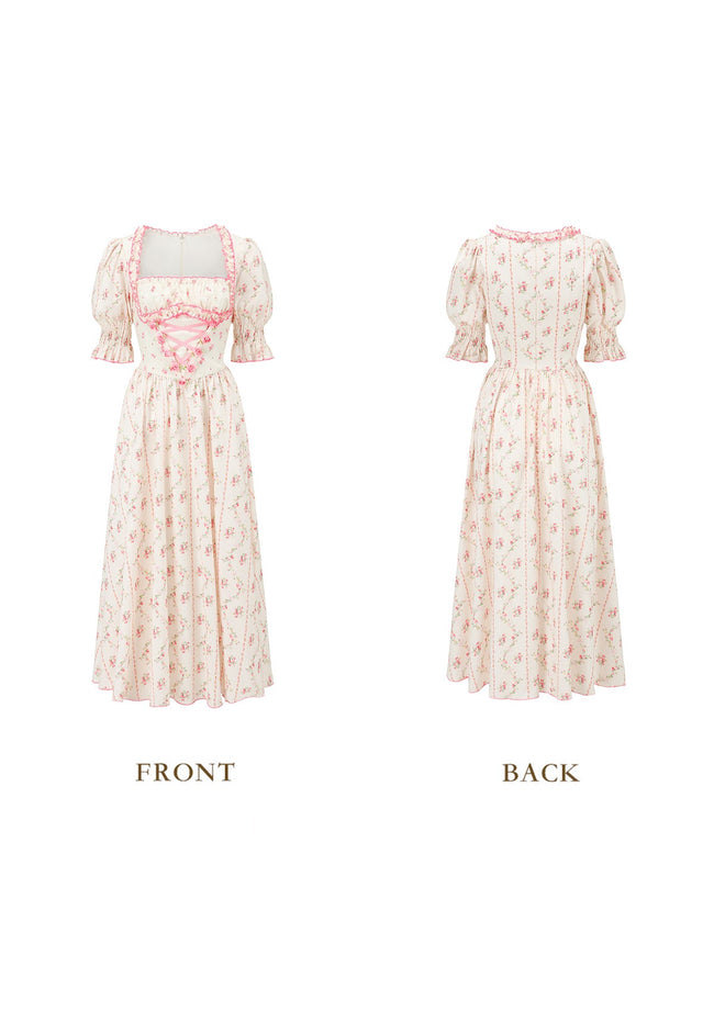 Victoria Rose Corset Dress Main Image